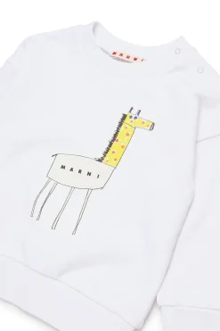 Sweatshirts><noscript><img width=