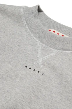 Sweatshirts | Logomania><noscript><img data-lazyloaded=