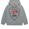 Sweatshirts>DIESEL Hooded sweatshirt with shield logo print grey melange