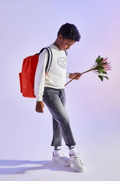 Sweatshirts>DIESEL Oval D branded crew-neck sweatshirt vaporous gray