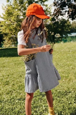 Dresses>MAX&Co. Striped denim sleeveless dress blue denim