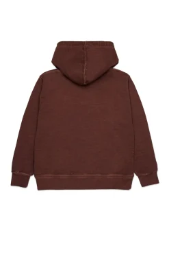 Sweatshirts | Sweatshirts>DSQUARED2 Sweatshirt Invicta x dachshund brown