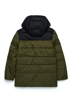 Jackets And Padded Jackets | Jackets And Padded Jackets>DIESEL Two-tone padded jacket with logo dusty olive